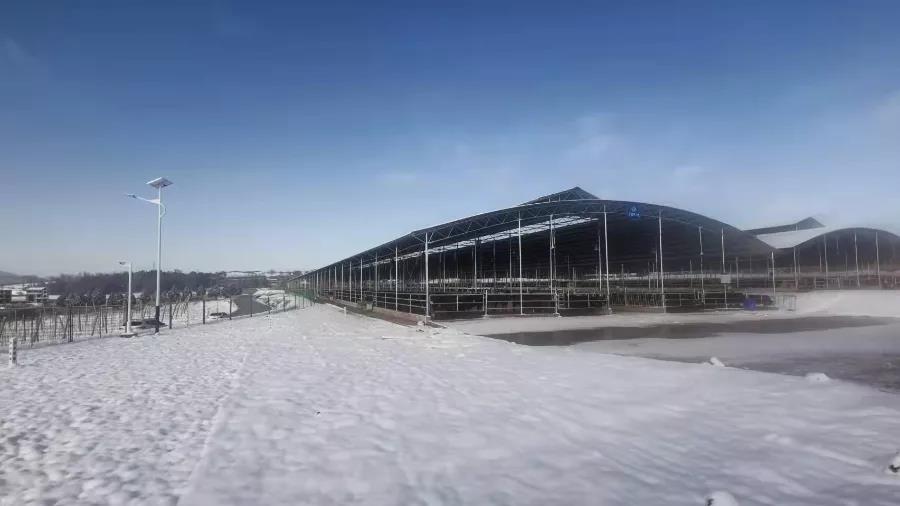 1644806905519471.jpg WeChat Image_20220214104813.jpg